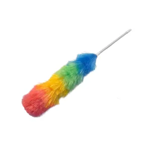 Duster